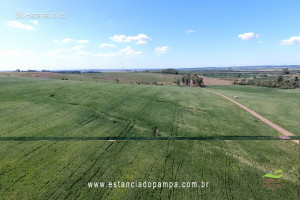 Os Serranos - Madrugada [VDownloader].00_01_35_13.Quadro022_7d846da9c59a017384734e8aa0fddd27e9ac9bfa.jpg